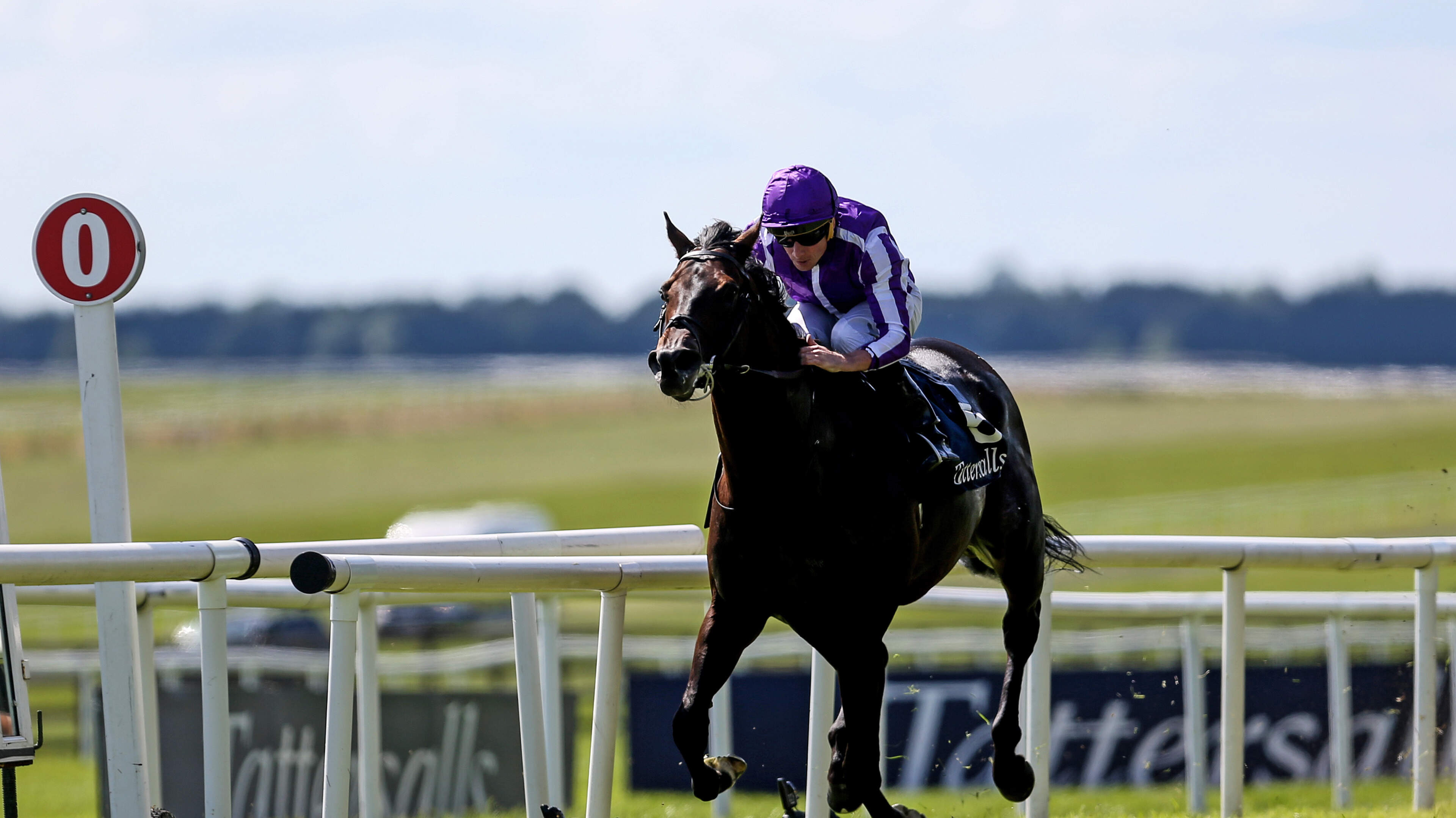 Aidan O’Brien’s Gstaad can avenge Newmarket defeat by getting the better of Bow Echo in Royal Ascot showdown